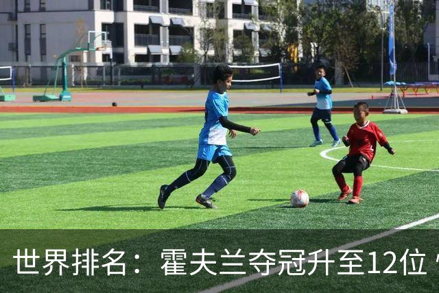 世界排名：霍夫兰夺冠升至12位 恰卡拉冲入前60位