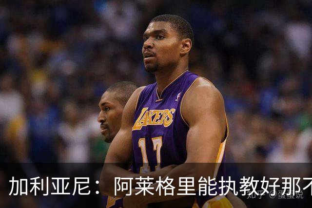 加利亚尼：阿莱格里能执教好那不勒斯，他会根据队内球员制定战术