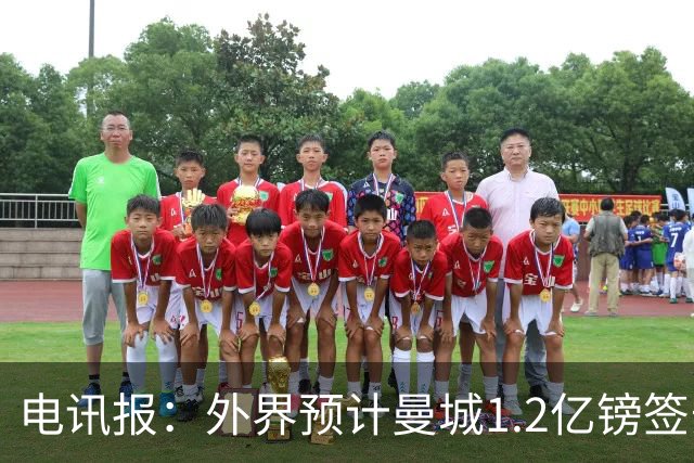 电讯报：外界预计曼城1.2亿镑签安德森 担忧这一价格引发连锁反应